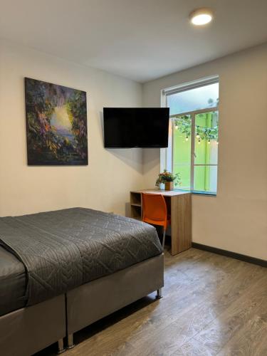TV a/nebo společenská místnost v ubytování Hostelfc Javeriana