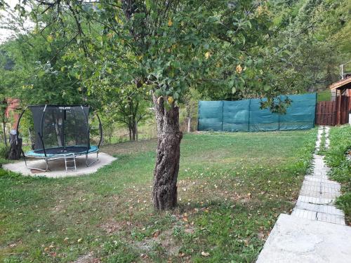 Κήπος έξω από το Guest House Lazar Raykov