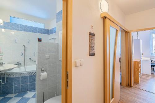 a bathroom with a shower and a toilet and a sink at APARTMÁN pro turisty i home office in Olomouc
