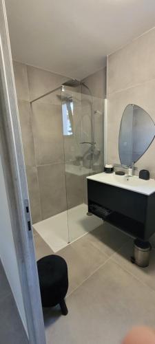 une salle de bain avec une douche, un lavabo et un miroir dans l'établissement M-A Cottage Piscine, à Solliès-Toucas