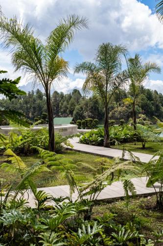 a park with palm trees and a pathway at Tau House in Guatapé