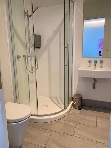 a bathroom with a shower and a toilet and a sink at Cosy Penthouse Apartment in Wellington