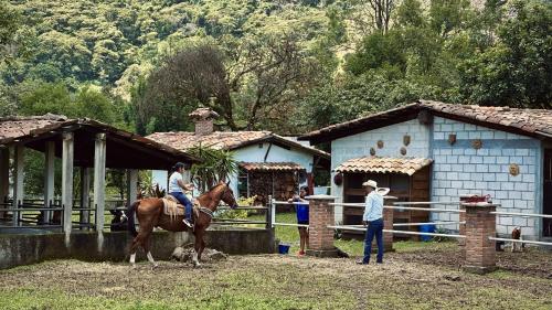 Gallery image of Tranquila cabaña con arroyo a orillas de Orizaba in Carrizal