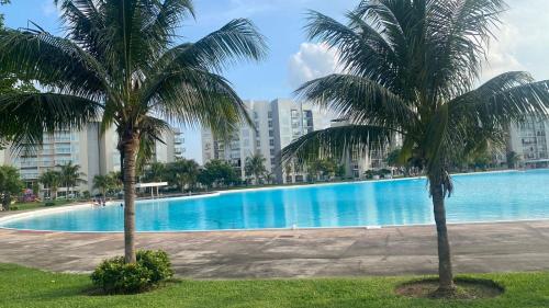 two palm trees in front of a large swimming pool at Casa de descanso in Veracruz