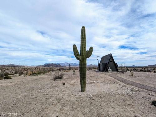 Un paisaje natural cerca de la casa vacacional