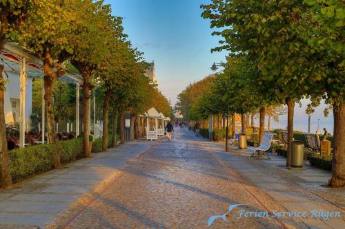 a street with trees and a person walking down the street at Villa Seiler Fewo 6 in Binz