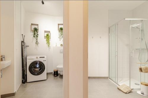 une salle de bain avec machine à laver et toilettes dans l'établissement Le paradis au bord du lac, à Annecy