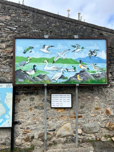 a mural of birds on the side of a building at Marys House in Carrigart