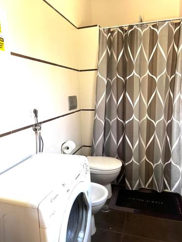 a bathroom with a washing machine and a toilet at ROMA ARCHAEOLOGICAL PARK Apartment in Ostia Antica
