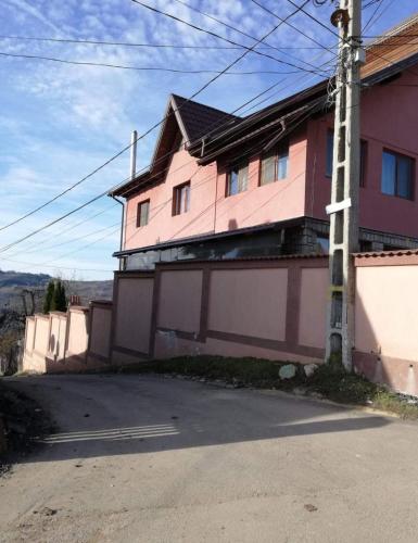 a pink house on the side of a street at VILA Jo in Brebu