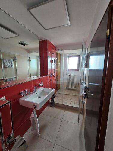 a bathroom with a sink and a shower at Ferienwohnung Sieben Raben in Neustadt an der Weinstraße