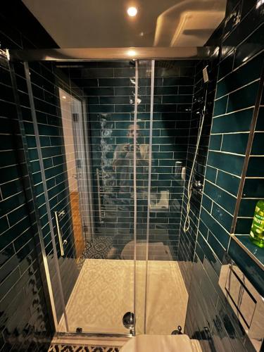 a bathroom with a glass shower with a toilet at Keysan House 1 in London