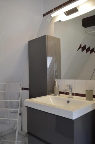 une salle de bain avec un lavabo et un miroir dans l'établissement Bretzel & Raisin - Centre ville de Colmar, à Colmar