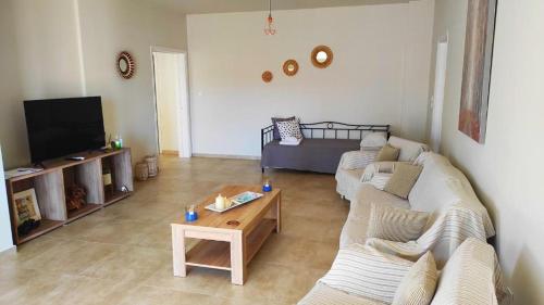 TV a/nebo společenská místnost v ubytování Comfortable Apartment Close to the Airport