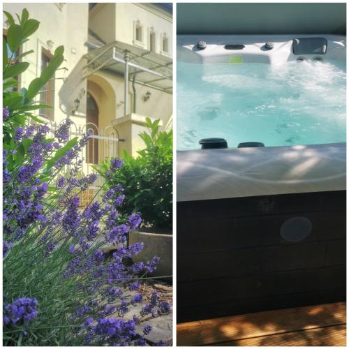 La alberca dentro o cerca de Kúria apartman with private jacuzzi and pool