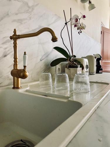 - un évier de cuisine avec un robinet en laiton et une plante dans l'établissement Charmant appartement en rdc dans château avec parc, à Villefranche-de-Lauragais
