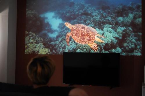 a person watching a turtle on a television screen at 沖縄空手ホテル アイオライト豊見城 in Tomigusuku