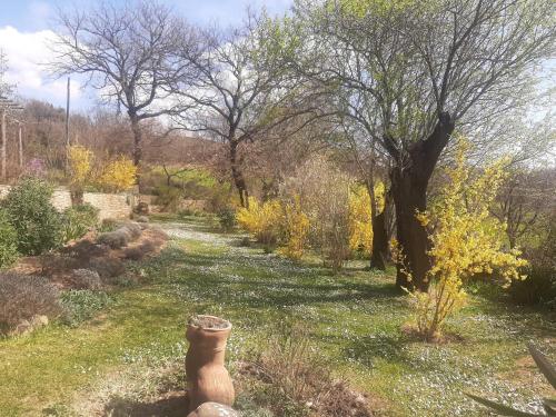 a garden with a tree and a path at PERGOLA at Le Pietraie a cottage with many flowers in Montecastelli Pisano