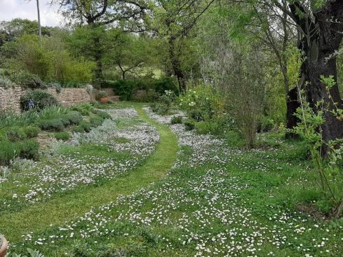 a path through a garden with white flowers at PERGOLA at Le Pietraie a cottage with many flowers in Montecastelli Pisano