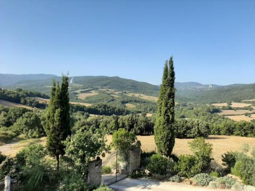 a view of a field with cypress trees at PERGOLA at Le Pietraie a cottage with many flowers in Montecastelli Pisano