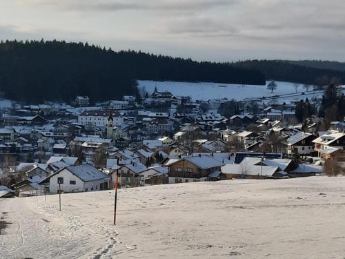 a town in the snow with footprints in the snow at Ferienwohnung Manuela in Sankt Englmar