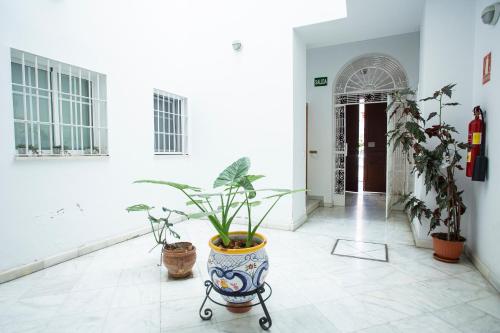 Wish Suite Cervantes