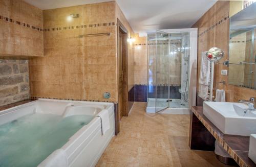 
a bathroom with a tub, sink, and shower at Hotel Rosaleda Don Pedro in Úbeda
