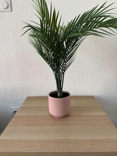 Photo de la galerie de l'établissement Le Dôme - Charmant Studio, à Toulouse