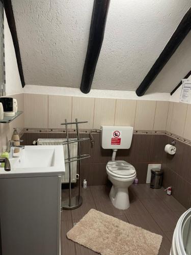 a bathroom with a toilet and a sink at Casa Dudu in Moieciu de Jos