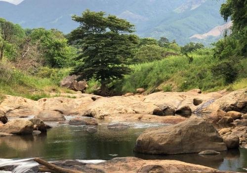 a river with rocks and a tree in the background at Belihuloya Adventure Camp By Eco Team in Belihul Oya