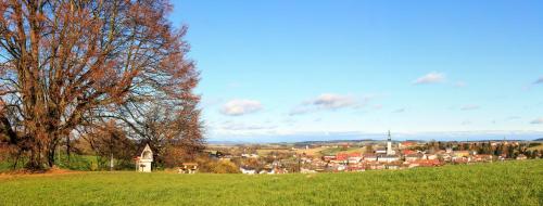 a field with a tree and a town in the background at Revital Resort Aspach in Aspach
