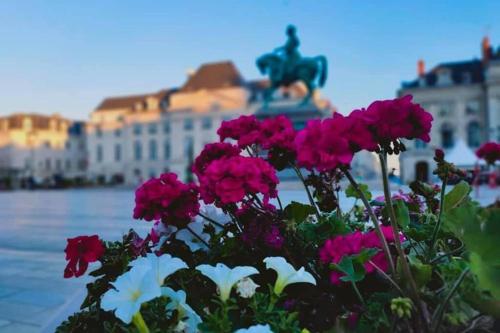 Une bande de fleurs roses et blanches devant une statue dans l'établissement BNB Le BOHEMIEN Hyper Centre 5' Train Station, à Orléans
