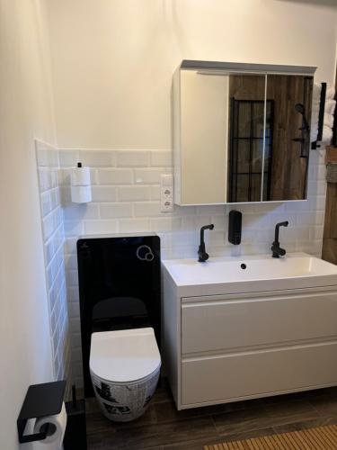a bathroom with a toilet and a sink and a mirror at Öregvíz Vendégház in Szentendre