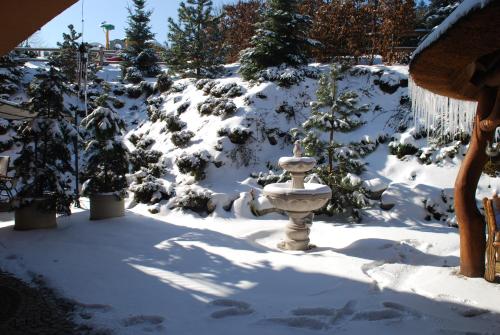 a snow covered yard with a fire hydrant in the snow at Willa pod Czantorią SPA Ustroń in Ustroń