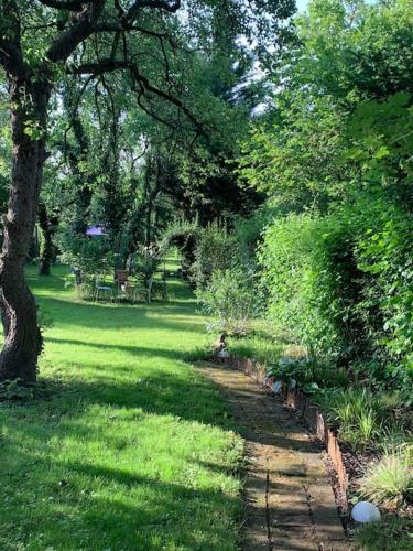 a path in a park with trees and grass at Villa guest suite near Vienna in Perchtoldsdorf