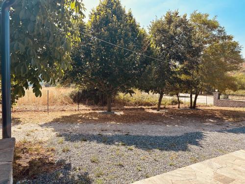a group of trees in a yard with a fence at Λαμπρινής Guest House-Zagori in Asprangeloi