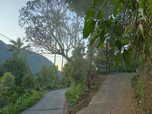 a dirt road with trees on the side of a hill at Jepun Homestay Lemukih in Singaraja