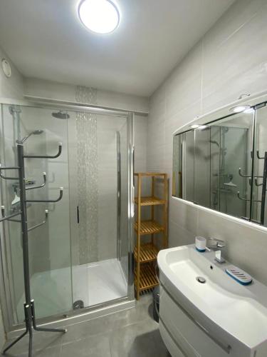 une salle de bain avec une douche et un lavabo et une cabine de douche en verre dans l'établissement superbe 2 pièces à Cannes vue imprenable, à Cannes