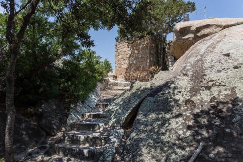 a set of stone stairs on a hill with trees at Suite Nuragus in Porto Rotondo