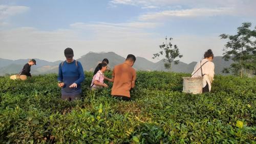 Hosté ubytování Đức Tới Farmstay