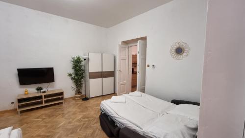 Apartment Krakovska 20