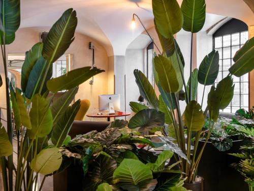 a room filled with lots of green plants at Browns Downtown Hotel in Lisbon
