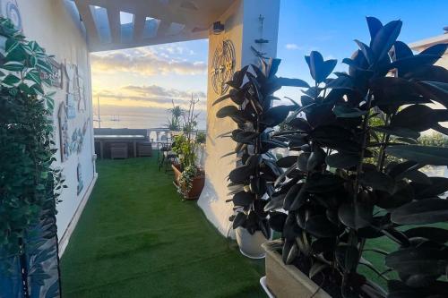 THE BAXMAN SUITE - A suite on the shore