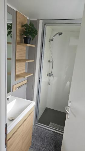 a bathroom with a shower and a sink at Cozy Tiny SolHouse 7 - Near Groningen - 5 Star Location in Kropswolde