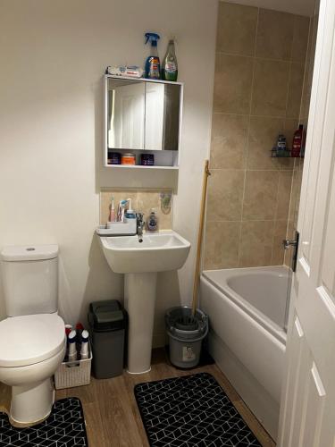 a bathroom with a sink and a toilet and a tub at X marina breeze x in Swansea