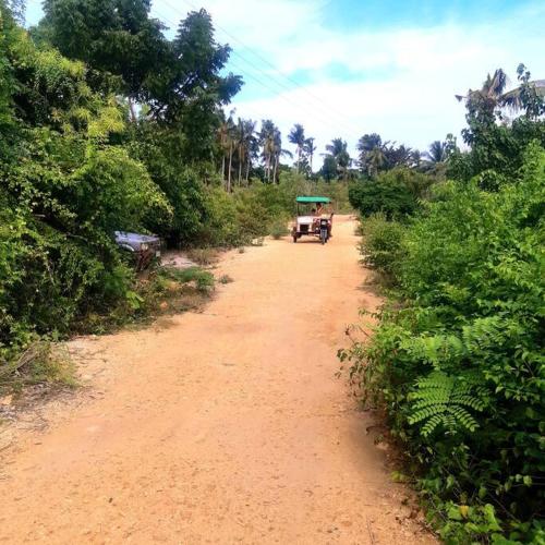 a truck driving down a dirt road with trees at Seabreeze Guesthouse in Mocpoc Sur