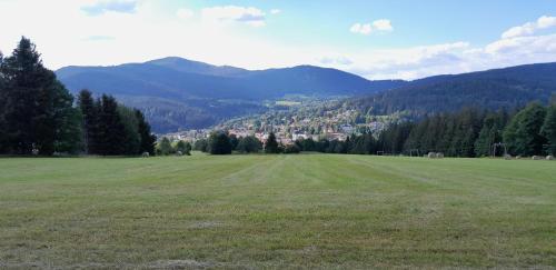 Apartmán Železná Ruda