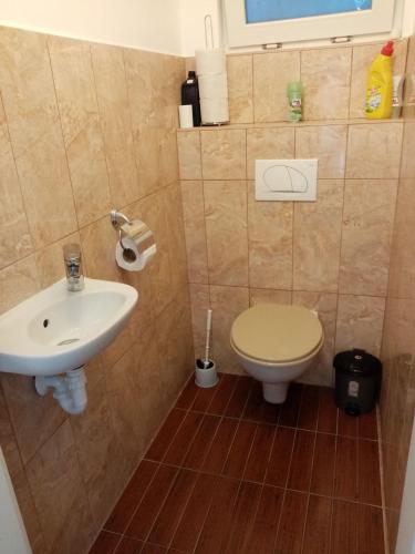 a bathroom with a toilet and a sink at Sára Vendégház Buzsák in Csisztapuszta