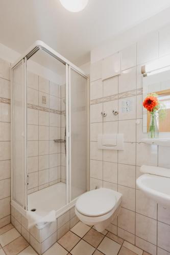 un bagno con doccia, WC e lavandino di Haus Hildegard a Bad Füssing