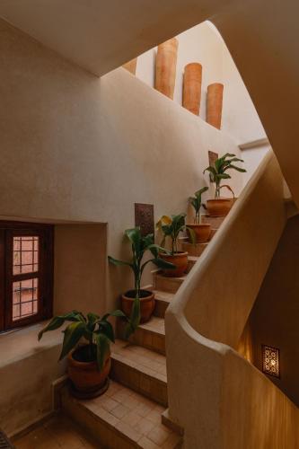 a staircase with a bunch of potted plants at Riad Senja in Marrakech